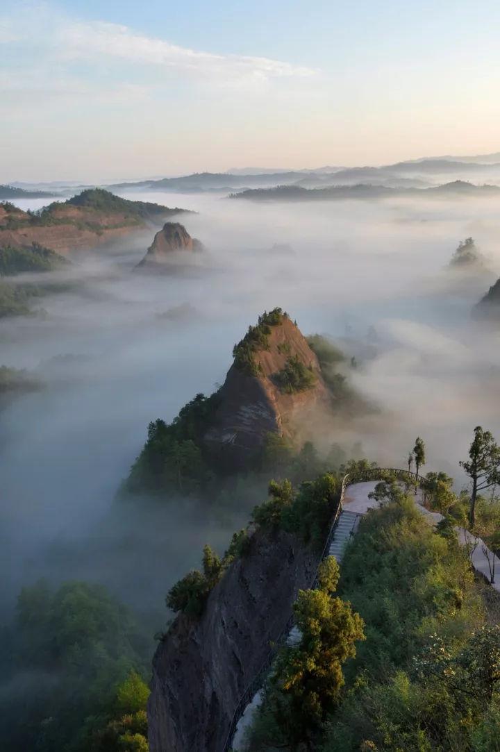 子犯罪,父出招让警方上当,2006年巢湖鼓山风景区女尸案侦破始末