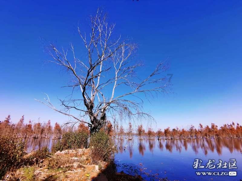 市铢钱币是什么朝代的?-解答你的疑惑