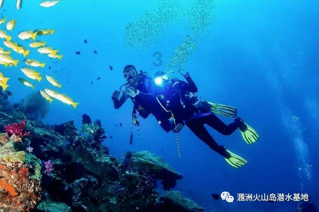 《魔兽世界》乌龟服1.17.1劳动与遗产内容介绍