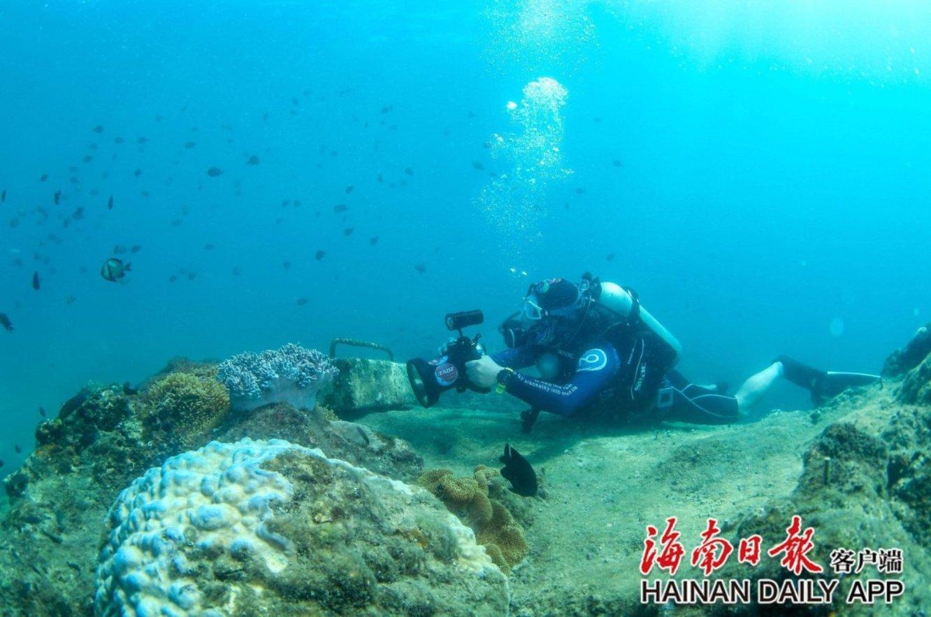 帕尔梅拉斯中场:恩德里克已准备好为皇马踢球,他总是脚踏实地