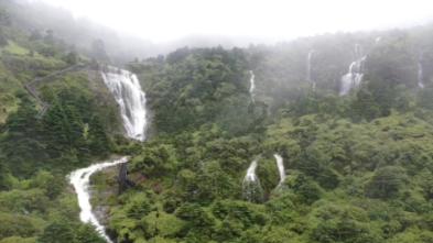 逃离壳牌岛