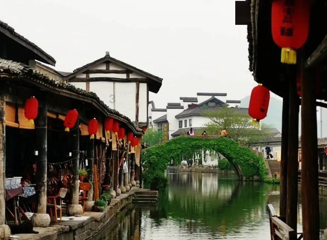 大金狮逃生