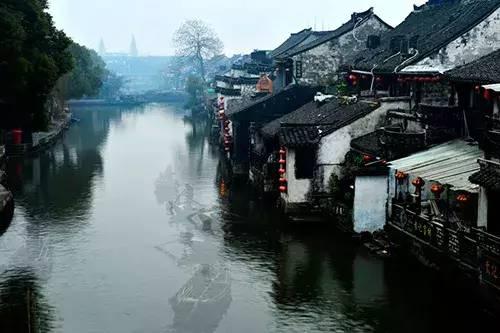 照顾小兔宝宝